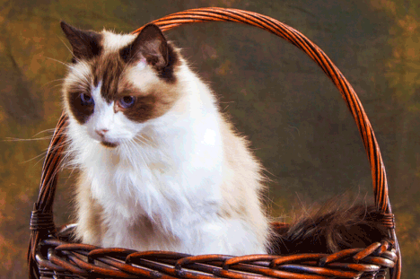 Image_Jour_010914.png