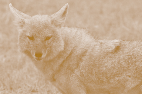 Large020416.jpg