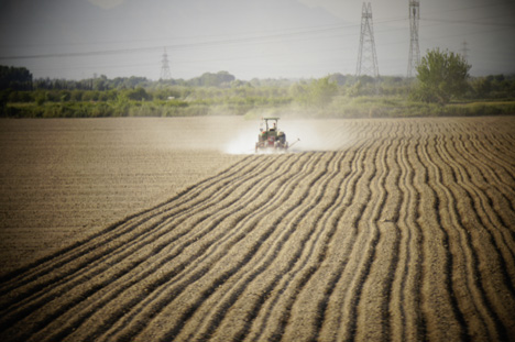 Large20151102.jpg Large20151102.jpg