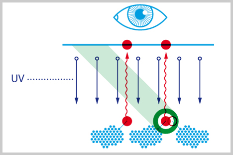 Large_2014_10_08.jpg Large_2014_10_08.jpg